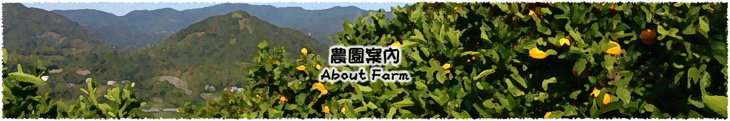 竹本農園について